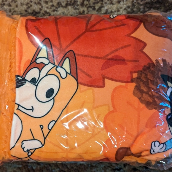 Bluey Designer Minky Blanket - Picture 2 of 4